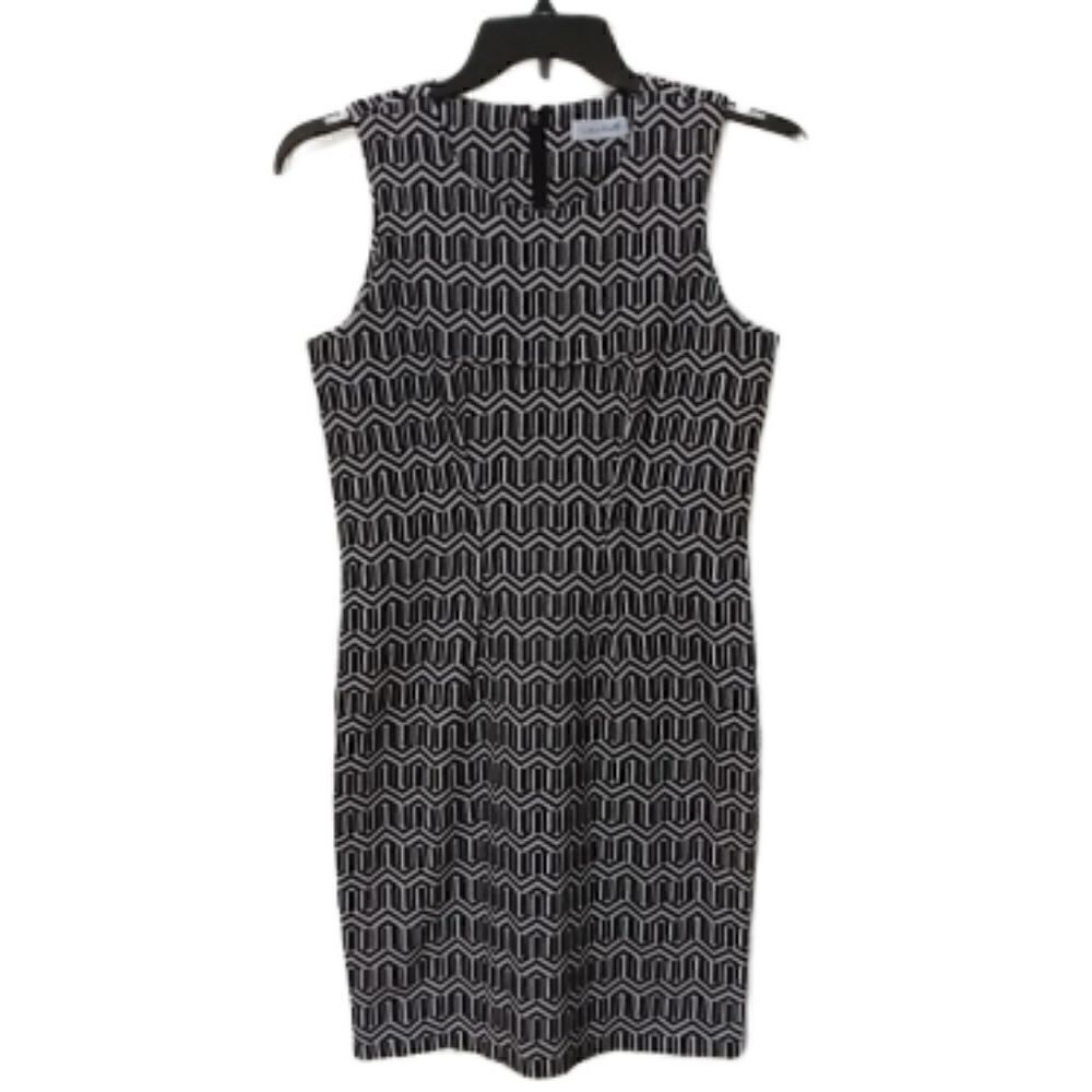 Calvin Klein Woman's Dress 